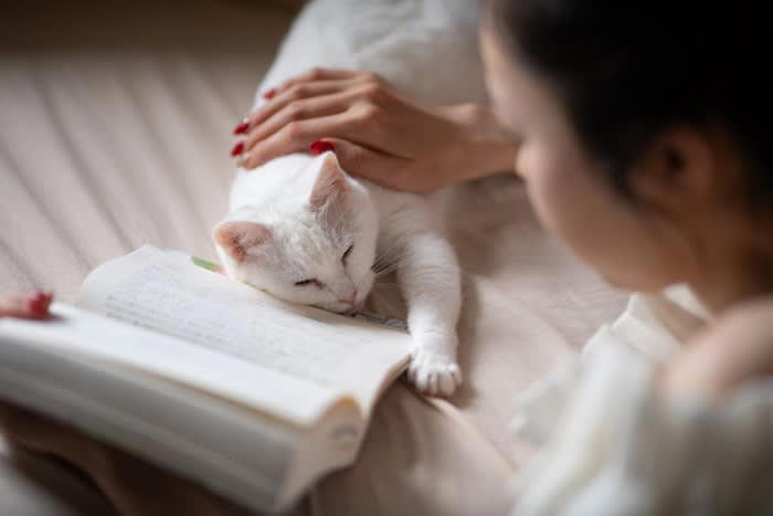 いつも猫と一緒に過ごすことで起こりえるデメリット4選, 1.分離不安症の原因になる, 2.甘やかしすぎてわがままになる, 3.ずっと一緒は猫にとってストレスになる, 4.お互いに依存するようになる, 猫と人間の適切な距離感は？