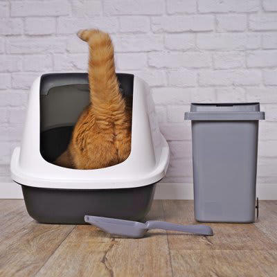 ペット可物件とは？, 猫と暮らす「ペット可物件」で起こりがちな3つのトラブル, 1.爪とぎトラブル, 2.騒音トラブル, 3.ニオイトラブル