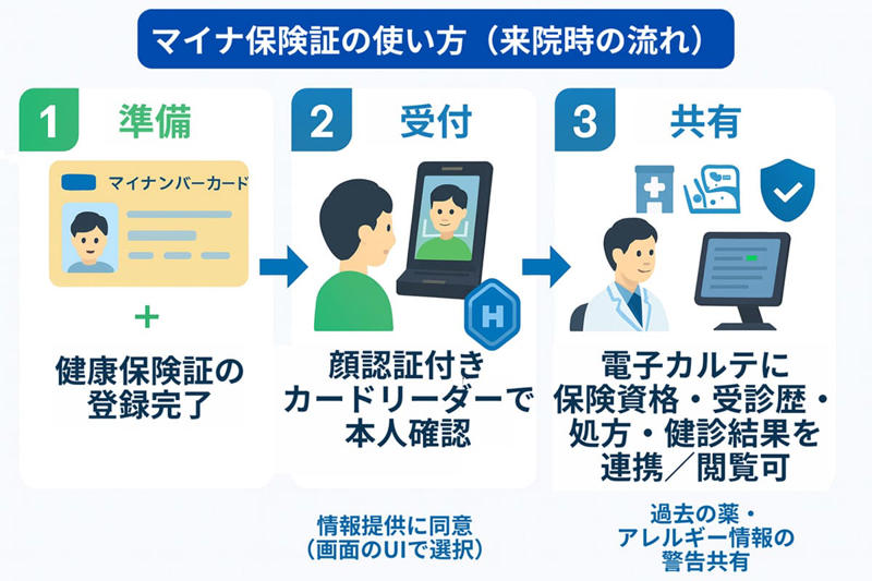 健康保険証との一体化, 「マイナ免許証」の運用スタート, デザイン刷新とプライバシーへの配慮, 面倒だった「5年ごとの更新」が不要になる見込み