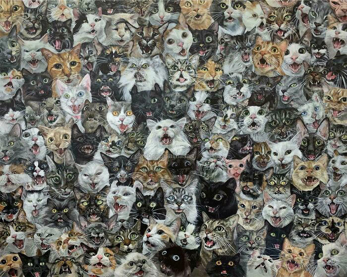 #5 Finished My Painting With 120 Yelling Cats! #5 Finished My Painting With 120 Yelling Cats!, #7 Couldn’t Stop Laughing At His Tiny Smol Yelly Face, #13 Very Excited For Amazon, #15 Screams And Spread Beans, #17 It’s His 14th Birthday Today!, #19 Loosey Isn’t Sure That You Really, Truly Understand About Second Breakfast, #21 Some Girl Started Yelling At Me While I Was Grocery Shopping, #23 Disapproving Cone Yell, #25 The Tiny Boss Of The House, 19 Years Old, #27 Thou Shall Not Pass..., #31 She Demands Payment For Her Outstanding Work, #33 Grabbed And Yelling, #35 Desperate Prisoner At The End Of Her Rope Cries Out For Freedom, #37 Fourteen, Toothless, And L O U D, #39 Aaaaaaaaa, #41 Brand New Yell!, #43 He Is Art, #45 Yelling At The Vet During Annual Wellness Exam, #47 The Yelling Book