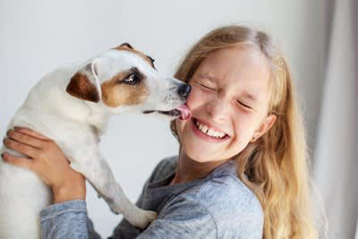 犬がペロペロ舐める理由4選, 1.コミュニケーション, 3.落ち着かせようとしている, 4.いいニオイがする, 舐めさせ続けた場合の悪影響とは？