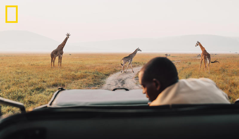 Akagera National Park, Rwanda, East Africa, Maui, Hawaii, Route 66, Oklahoma, Black Sea Coast, Turkey, Coastal Oaxaca, Mexico, Dominica, Caribbean , Pittsburgh, Yamagata Prefecture, Japan, Uluru-Kata Tjuta National Park, Australia
