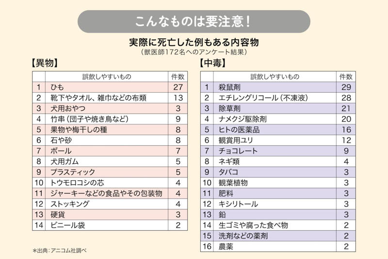 誤飲しやすい犬のタイプや年齢, もしかして、飲み込んじゃった？！ 誤飲の症状, こんなものが危ない！ 誤飲しやすいものランキング, 【第1条】無造作に置かない！, 【第2条】関心を持たせない！, 【第3条】口にしても騒がない！, 【第4条】口から出させる！
