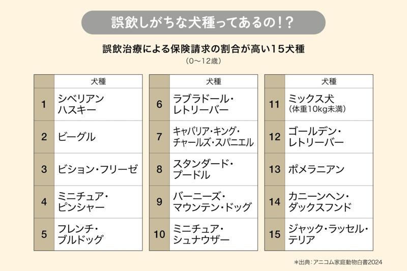 誤飲しやすい犬のタイプや年齢, もしかして、飲み込んじゃった？！ 誤飲の症状, こんなものが危ない！ 誤飲しやすいものランキング, 【第1条】無造作に置かない！, 【第2条】関心を持たせない！, 【第3条】口にしても騒がない！, 【第4条】口から出させる！