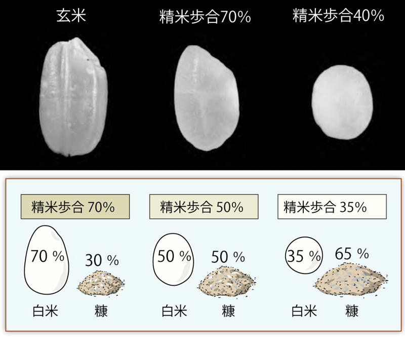 酒造りの要「一麹、二酛（もと）、三造り」…でも、細かく見ると、なんと9段階もある, 米はどのように精米する？, 精米歩合と精白度, 米を磨くのは、「きれいなお酒」を造るため, 削り落とされた糠も有効活用