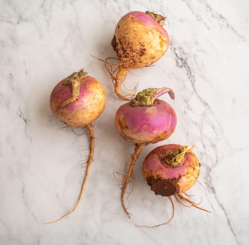 1. Beets, 2. Celeriac/Celery Root, 3. Escarole, 4. Kohlrabi, 5. Parsnips, 6. Rutabaga, 7. Turnips, 8. Winter Squash