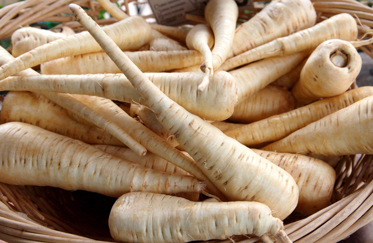 1. Beets, 2. Celeriac/Celery Root, 3. Escarole, 4. Kohlrabi, 5. Parsnips, 6. Rutabaga, 7. Turnips, 8. Winter Squash