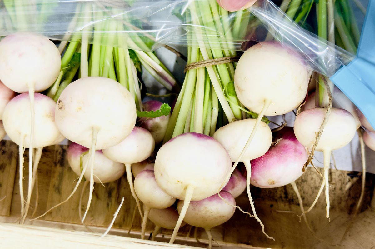 1. Beets, 2. Celeriac/Celery Root, 3. Escarole, 4. Kohlrabi, 5. Parsnips, 6. Rutabaga, 7. Turnips, 8. Winter Squash