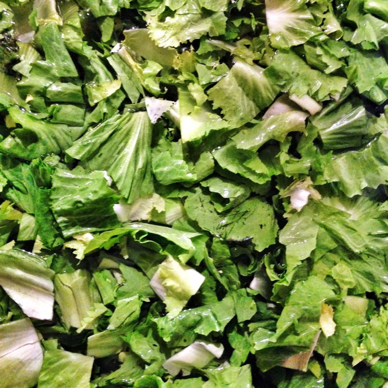 1. Beets, 2. Celeriac/Celery Root, 3. Escarole, 4. Kohlrabi, 5. Parsnips, 6. Rutabaga, 7. Turnips, 8. Winter Squash