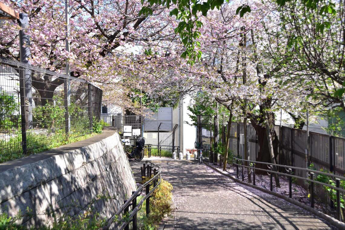 作品の原点といえば…栃木県「岩舟駅」, 『コスモナウト』のすべてが詰まった「種子島」, 世界に、そして宇宙に開かれた場所, 東京・小田急線沿線で描かれた「切ないシーン」, 新海作品の「聖地」に選ばれるということ