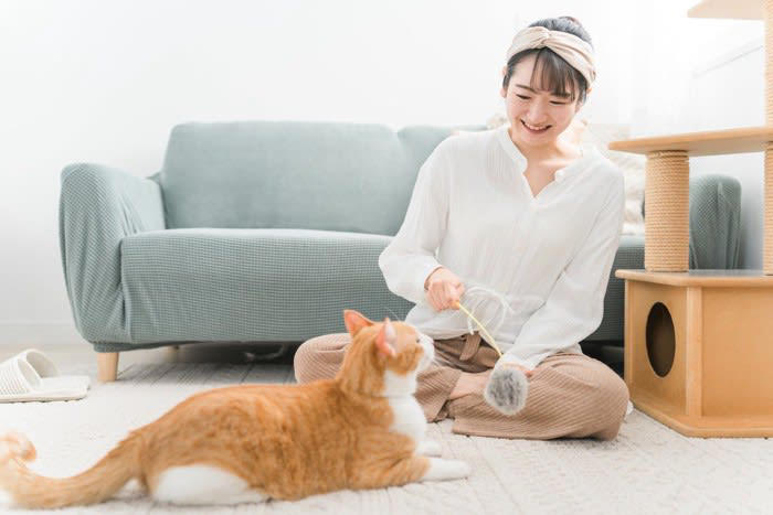 猫が「甘えたい」ときに見せる5つの行動, 1.「すりすり」してくる, 2.「ふみふみ」する, 3.お腹を見せる, 4.しっぽを立てて寄ってくる, 5.喉をゴロゴロ鳴らす, 猫が甘えたくなる心理とは, 猫との絆が深まる応え方