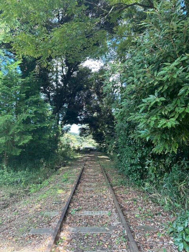 延伸計画もあった倉吉線, テレビの紹介で話題に, 廃線跡の鉄道復活の可能性, 移動体験が観光資源に