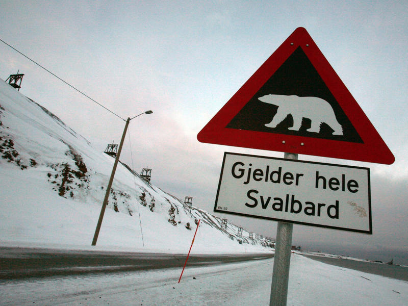 Polar bears act as extra protectors of the world's seeds. Svalbard was founded as a hunting and fishing base., Longyearbyen was established as a mining town., Today, the town attracts tourism and scientific research., The doomsday seed vault is home to over a million different seeds., Polar bears act as extra protectors of the world's seeds., Students in the region don't get an average city education., The town even has a public free university., There are plenty of activities to enjoy in the world's northernmost town., Besides, they can also explore their extreme nature surroundings., The town is a great location for watching lunar events., Others rely on four-legged neighbors for transportation., The town is also home to the world's northernmost hotel.