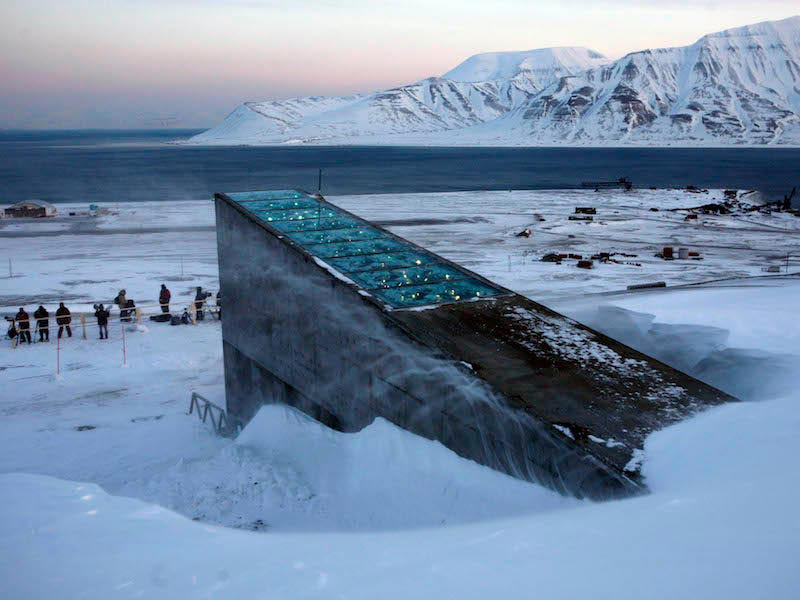 Today, the town attracts tourism and scientific research. Svalbard was founded as a hunting and fishing base., Longyearbyen was established as a mining town., Today, the town attracts tourism and scientific research., The doomsday seed vault is home to over a million different seeds., Polar bears act as extra protectors of the world's seeds., Students in the region don't get an average city education., The town even has a public free university., There are plenty of activities to enjoy in the world's northernmost town., Besides, they can also explore their extreme nature surroundings., The town is a great location for watching lunar events., Others rely on four-legged neighbors for transportation., The town is also home to the world's northernmost hotel.