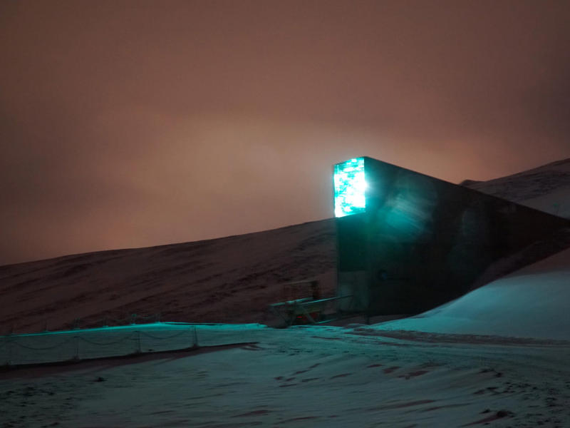 The doomsday seed vault is home to over a million different seeds. Svalbard was founded as a hunting and fishing base., Longyearbyen was established as a mining town., Today, the town attracts tourism and scientific research., The doomsday seed vault is home to over a million different seeds., Polar bears act as extra protectors of the world's seeds., Students in the region don't get an average city education., The town even has a public free university., There are plenty of activities to enjoy in the world's northernmost town., Besides, they can also explore their extreme nature surroundings., The town is a great location for watching lunar events., Others rely on four-legged neighbors for transportation., The town is also home to the world's northernmost hotel.