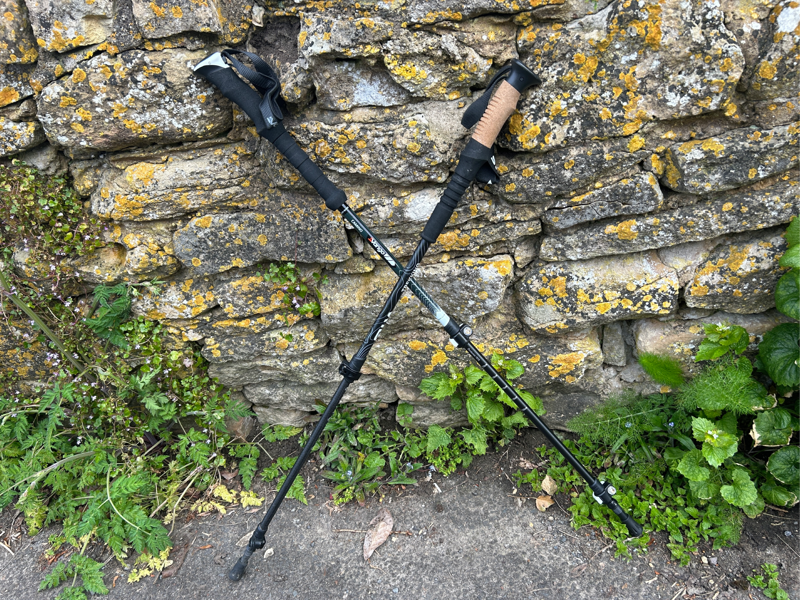 How I tested , Why you can trust IndyBest reviews, The best walking poles for 2025 are:, Silva carbon trekking poles, Vango camino single pole, Black Diamond alpine carbon cork, Leki micro vario , Craghoppers venture T grip, Silva aluminium trekking poles, Black Diamond trail walking poles , Leki Cressida FX carbon, Les Batons d’Alain azur, Your questions about walking poles answered, What are the best walking poles?, What is the best material for walking poles?