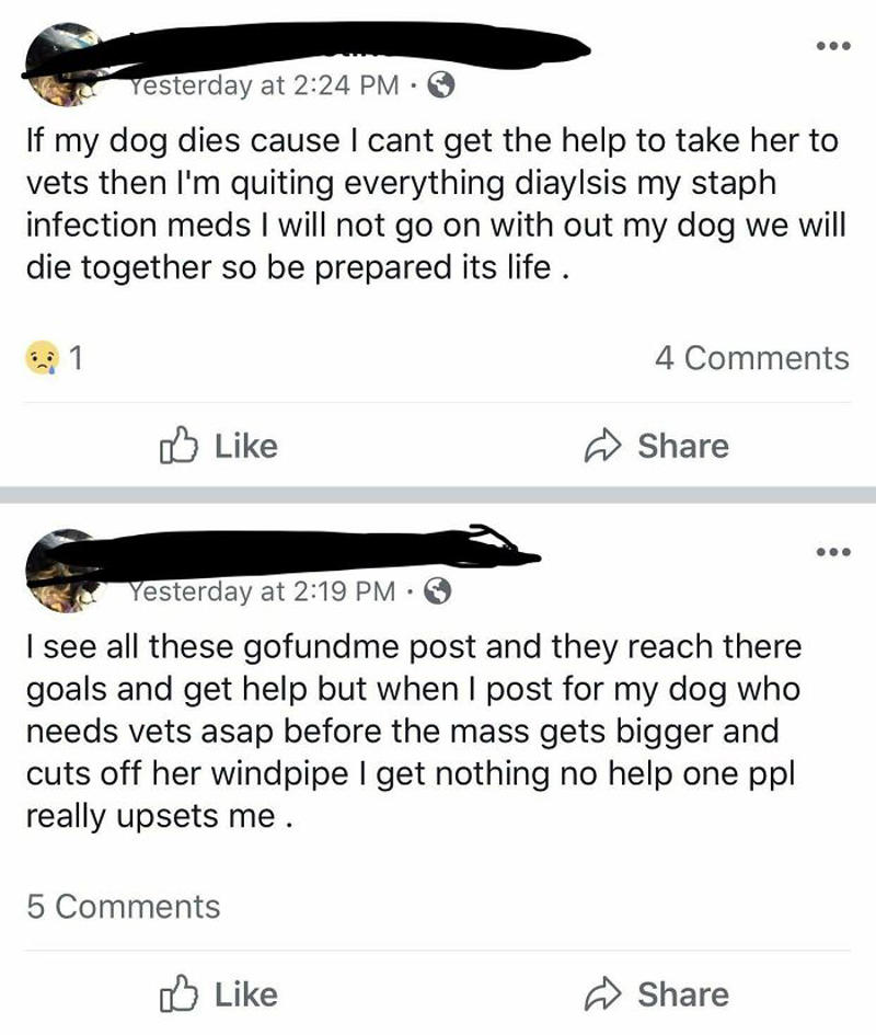 #1 Also What Color Would You Like Your Dog To Be?, #7 Free Dog On Buy Sell Trade Post, #11 There Was A  Reward For A Lost Cat, #17 Anti-Vax Dog Mom Looking For A Groomer, #21 Even Dogs Have Standards That Must Be Met