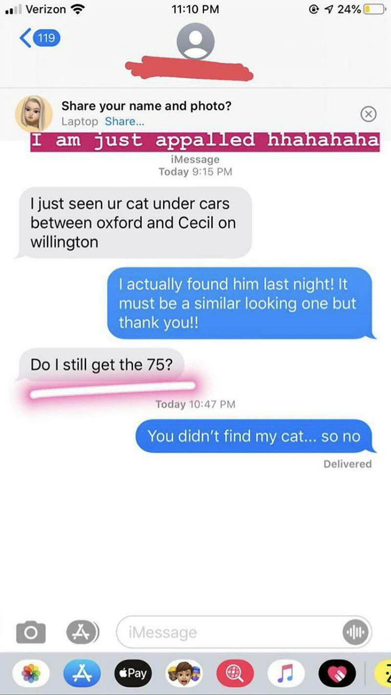 #11 There Was A $75 Reward For A Lost Cat #1 Also What Color Would You Like Your Dog To Be?, #7 Free Dog On Buy Sell Trade Post, #11 There Was A Reward For A Lost Cat, #17 Anti-Vax Dog Mom Looking For A Groomer, #21 Even Dogs Have Standards That Must Be Met