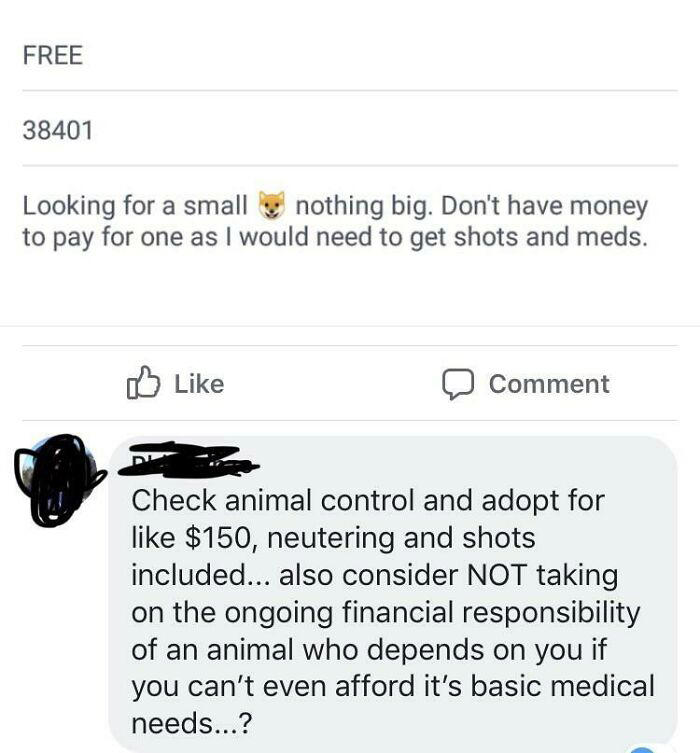 #7 Free Dog On Buy Sell Trade Post #1 Also What Color Would You Like Your Dog To Be?, #7 Free Dog On Buy Sell Trade Post, #11 There Was A Reward For A Lost Cat, #17 Anti-Vax Dog Mom Looking For A Groomer, #21 Even Dogs Have Standards That Must Be Met