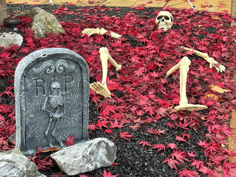 DIY graveyard DIY graveyard, Creepy carnival entrance, Inflatable Halloween, Pumpkin realness, Dress your door, Spider webs, Go oversized, Ghostbusters house, A famous graveyard, Towering monsters, Spooky sophistication, Scary toy box, Spooky smoke machine, Killer animals, Skeleton musicians, Light it up, Make them scream, Climbing skeletons, Halloween buffet, Pumpkin jellyfish, Halloween in Istanbul, A witchy entrance, Pumpkin hospital, Creepy chandeliers, Whimsical ghosts, Breaking out, Sick pumpkins