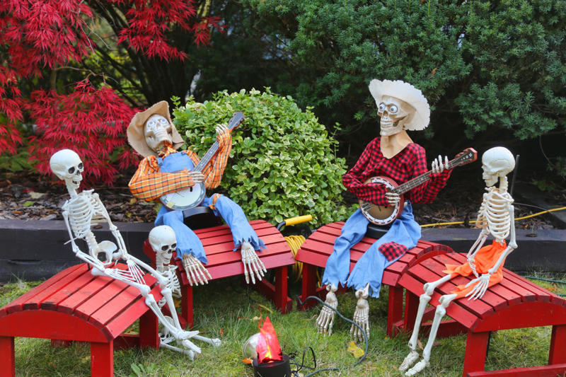 Skeleton musicians DIY graveyard, Creepy carnival entrance, Inflatable Halloween, Pumpkin realness, Dress your door, Spider webs, Go oversized, Ghostbusters house, A famous graveyard, Towering monsters, Spooky sophistication, Scary toy box, Spooky smoke machine, Killer animals, Skeleton musicians, Light it up, Make them scream, Climbing skeletons, Halloween buffet, Pumpkin jellyfish, Halloween in Istanbul, A witchy entrance, Pumpkin hospital, Creepy chandeliers, Whimsical ghosts, Breaking out, Sick pumpkins