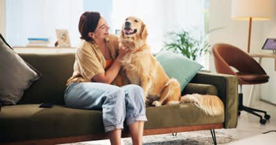 犬を『落ち着いた性格』に育てる方法５選, 1.飼い主が落ち着いた態度で接する, 2.ストレスのない快適な環境を整える, 3.遊びや散歩で適切に運動させる, 4.愛情を十分に注いで愛され実感を持たせる, 5.子犬のうちにさまざまな刺激に慣れさせる, 穏やかな性格に育てる推奨トレーニングとは