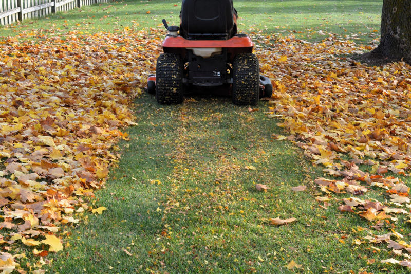 Clear with care, Create piles, Support visiting birds, Mow fallen leaves, Use leaves as mulch, Make leaf mould, Make use of fallen branches, And finally…