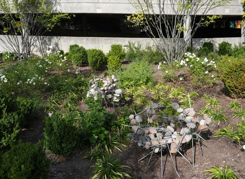 'Silver Wishbone' sculpture returns, Other sculptures at the Speed Museum Art Park, Native plants at the Art Park, Best time of day to visit the Art Park, What else can I do at the Art Park?