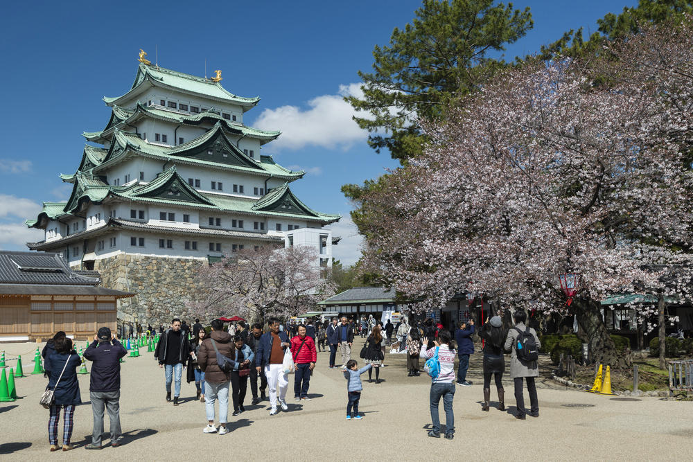 New York City, Amsterdam, Singapore, Setouchi Islands, Japan, Aichi Prefecture, Japan, Les Baux-de-Provence, France, Melbourne