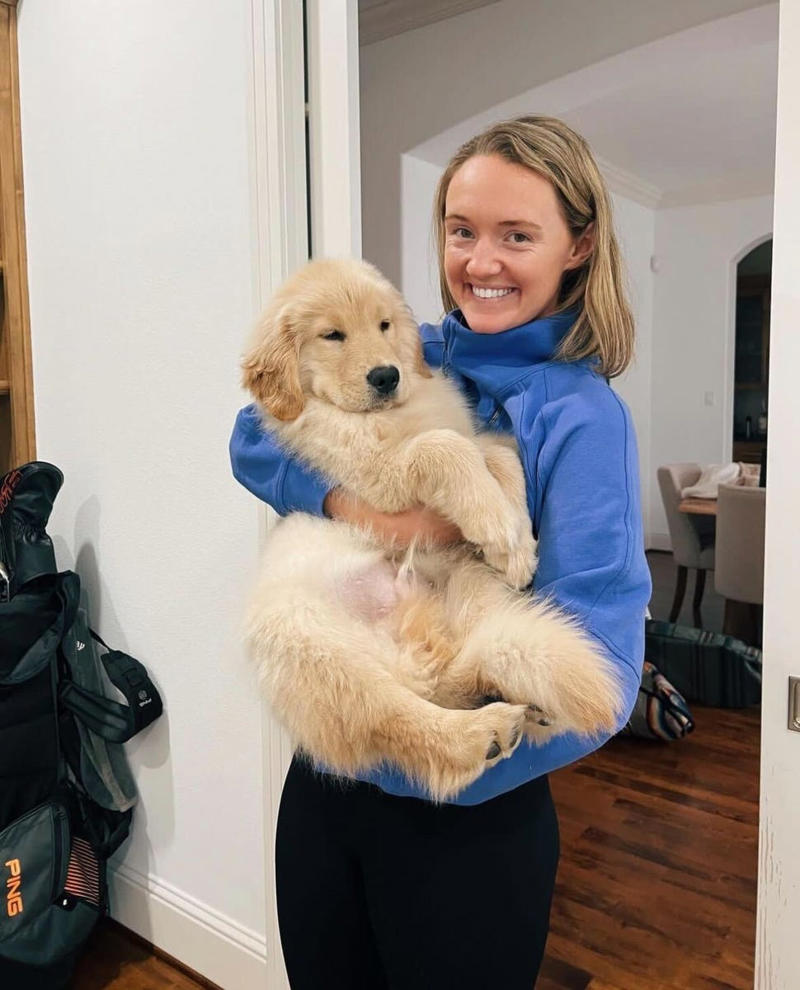 Male Golden Retriever Names, Female Golden Retriever Names, Cute Golden Retriever Names, Funny Golden Retriever Names, Unique Golden Retriever Names, Food-Themed Golden Retriever Names, Gold-Inspired Golden Retriever Names