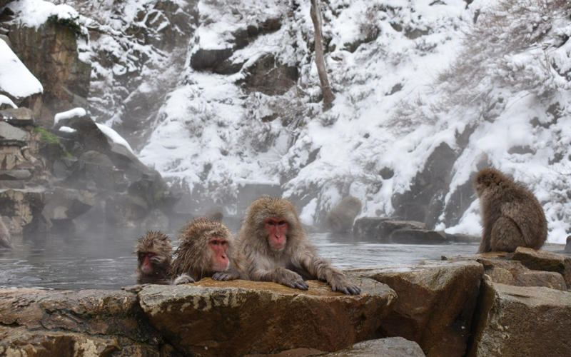 Les Arcs, France, Insider skier tip, Serfaus-Fiss-Ladis, Austria, Insider skier tip, Alta Badia, Italy, Insider skier tip, Banff, Canada, Insider skier tip, Verbier, Switzerland, Insider skier tip, St Anton, Austria, Insider skier tip, Zermatt, Switzerland, Insider skier tip, Tignes, France, Insider skier tip, Hakuba, Japan, Insider skier tip, Aspen, USA, Insider skier tip