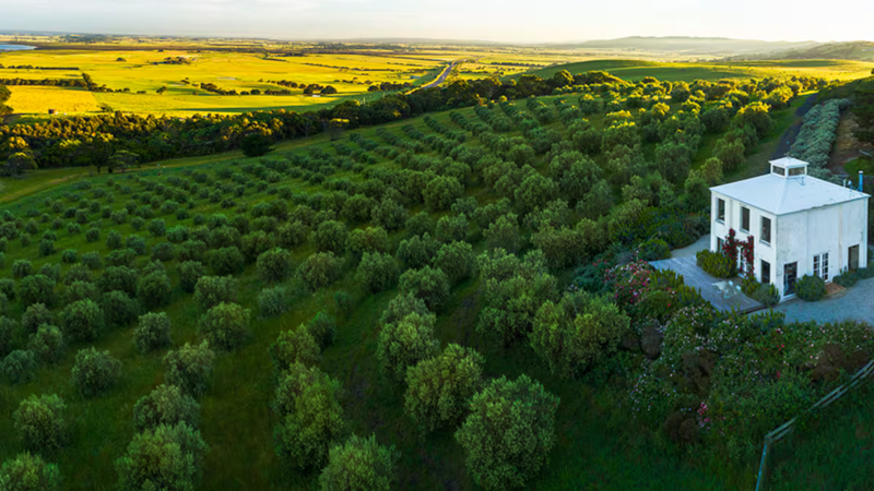 Luxury countryside Airbnbs near Melbourne, Romantic getaways & stays for couples in Victoria, Large group accommodation & family-friendly stays in Victoria, Unique stays & one-of-a-kind accommodation in Victoria, Countryside & farm stays in Victoria, More Airbnbs in Victoria, Read more: