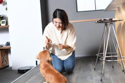 犬が反応しやすい「ワード」4選, 1.ポジティブな感情と結びついた言葉, 2.短く区切りが良い音の言葉, 4.高いトーンで発せられる言葉, 犬は飼い主の言葉をどの程度理解しているのか？, ポジティブな意味で「ワード」を記憶させる方法