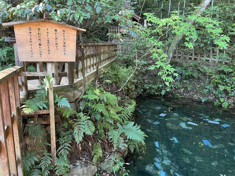 八雲が暮らした「山陰地方最大の都市」, 「恋愛の最強パワースポット」として一躍話題に, “『VIVANT』のふるさと”となった街, 「宍道湖名物」が『ばけばけ』効果で人気, 島根の10月は「神在月」