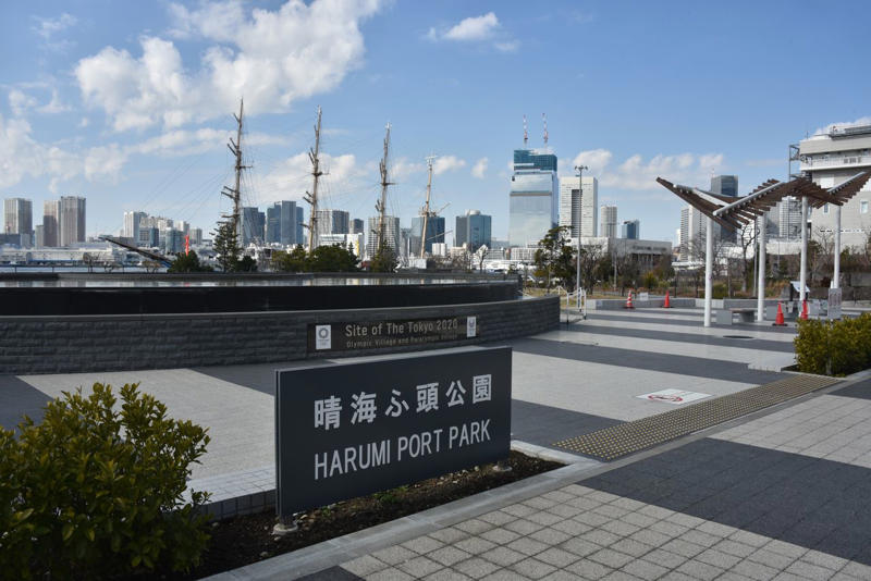 投資家の格好のターゲットとなった晴海フラッグ, 混迷を極めた公共交通網の整備, 地下鉄ではなくBRTを導入することに, 交通問題を解消する「臨海地下鉄構想」とは