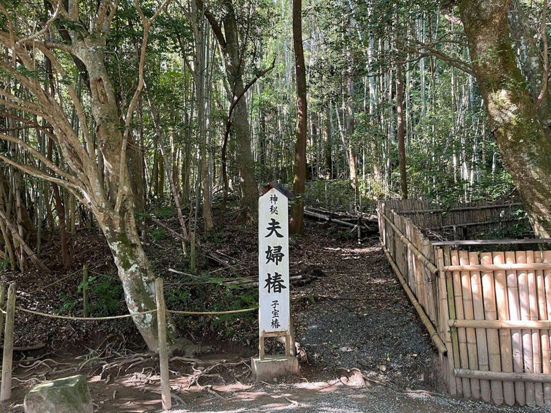 八雲が暮らした「山陰地方最大の都市」, 「恋愛の最強パワースポット」として一躍話題に, “『VIVANT』のふるさと”となった街, 「宍道湖名物」が『ばけばけ』効果で人気, 島根の10月は「神在月」