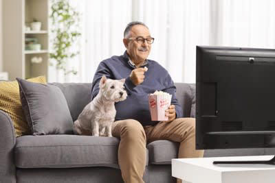 愛犬が無関心になる理由, 愛犬が飼い主に興味がない時に見せる仕草, 4.わざと目をそらす, 5.離れた場所に行く, 愛犬と良い距離感を保つための適切な接し方