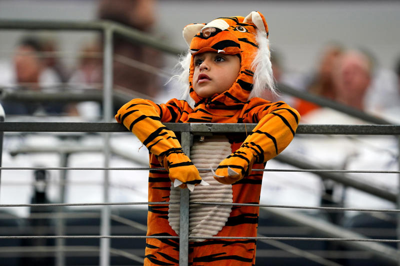 Bengal tiger, Cheese coney, Frisch's Big Boy, Flying Pig, Oktoberfest Zinzinnati attendee, Graeter's Ice Cream, Loveland Frogman, Fiona the hippo, Joe Burrow, Joey Votto, Rose Lavelle or another Cincinnati sports legend, Pop band 98 Degrees, Bootsy Collins, More Cincinnati-themed costume ideas