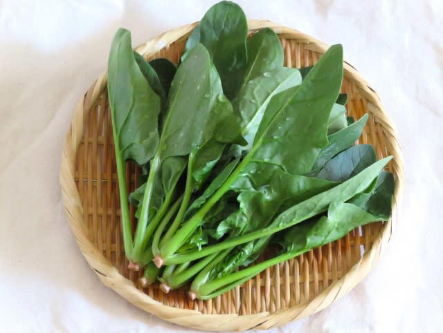 今日の主役は、ほうれん草。, トースターで10分！簡単「ほうれん草とハムのパンキッシュ」, 材料・分量（人数：2人分）, タラゴンの挿し木（お料理ブログ）※毎日更新中！, インスタグラム（おいしい日常を日々更新♪）