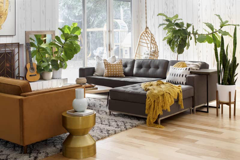 Why a Lid Organizer Is Great for Storing Blankets?, How to Remove Blueberry Stains from Clothes, Another Lid Organizer That's Perfect for Blanket Storage, Read More from AT Media