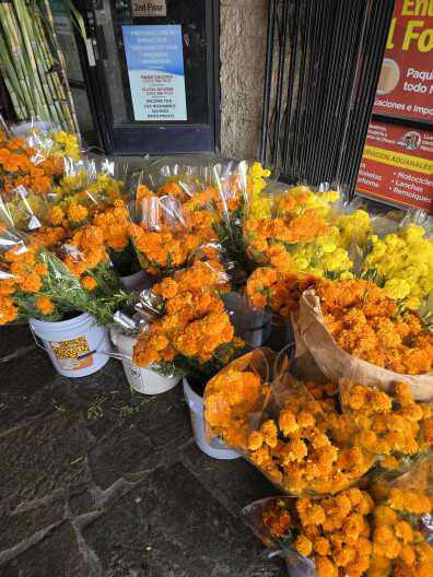 La Mayordomia 2, Latinx With Plants, Flowers El Ranchito, Bixby Petals, Sánchez Produce, Local street vendors, L.A. Flower District, Last minute finds