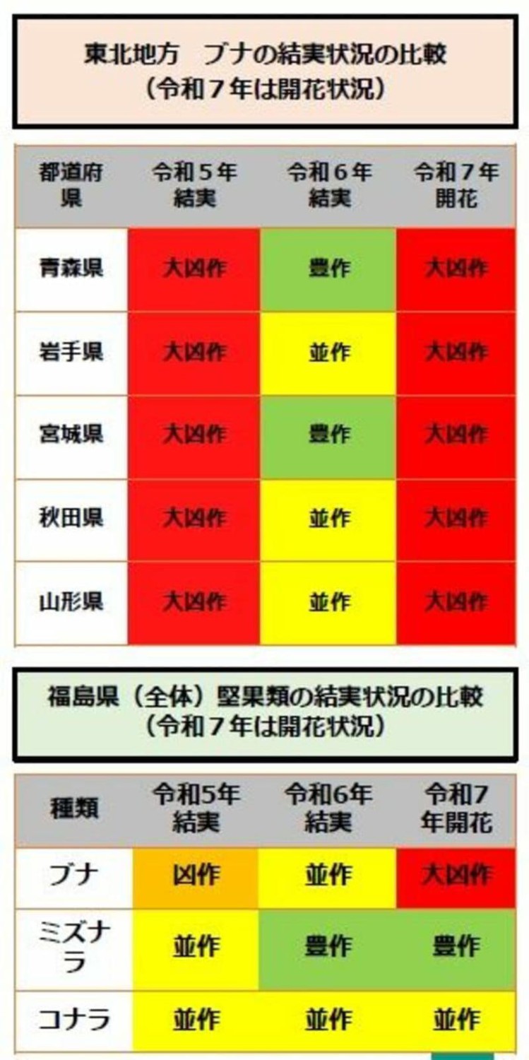 捕獲数は過去最多を更新, 生活圏での出没が続く理由, クマはなぜ人を襲うのか, 個体管理強化へ舵を切る環境省
