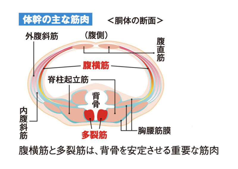 長く自立して歩くためには「健脚」を保つことが重要, 平坦なところでも足がもつれる, 「1分片足立ち」のやり方, 転ばないために体幹力をつける「片足立ち足振り」, 「片足立ち足振り」のやり方