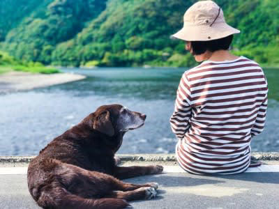 犬の『認知症』が進行する生活習慣５選, 1.単調な生活を毎日繰り返している, 2.外出や散歩を控えている, 3.飼い主とのふれあいが少ない, 4.ひとりで留守番する時間が多い, 5.寝てばかりで運動や活動量が少ない, 認知症を早期発見する方法は？, 認知症の兆候がみられたら意識すべきこと