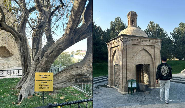 What’s there to see or do in Tashkent?, The adventure truly starts in Samarkand, A city perfect for families and kids, Looking at the stars, Exploring the myths, legends, & a sacred place, What’s there to eat in Tashkent and Samarkand?, Roaming and internet connectivity
