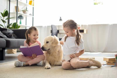 『優しい性格の犬種』５選, 1.ラブラドールレトリバー, 2.ゴールデンレトリバー, 5.セントバーナード, 心優しい犬を迎える際に心得ておくべきこと