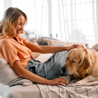 『優しい性格の犬種』５選, 1.ラブラドールレトリバー, 2.ゴールデンレトリバー, 5.セントバーナード, 心優しい犬を迎える際に心得ておくべきこと