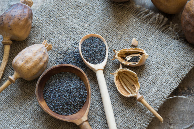Bay leaf, Black pepper, Cayenne red pepper, Celery salt, Ground cinnamon, Chili powder, Ground cumin, Dill weed, Curry powder, Garlic powder, Garlic salt, Ground ginger, Himalayan pink salt, Italian seasoning, Dry mustard powder, Ground nutmeg, Lemon pepper, Onion powder, Parsley flakes, Red pepper (crushed), Poppy seeds, Seasoned salt, Rubbed sage, Sesame seeds