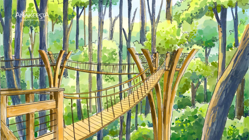 A new lift system, Firefly village updates, Treetop Skywalk expanding, The Firefly Experience, Looking ahead