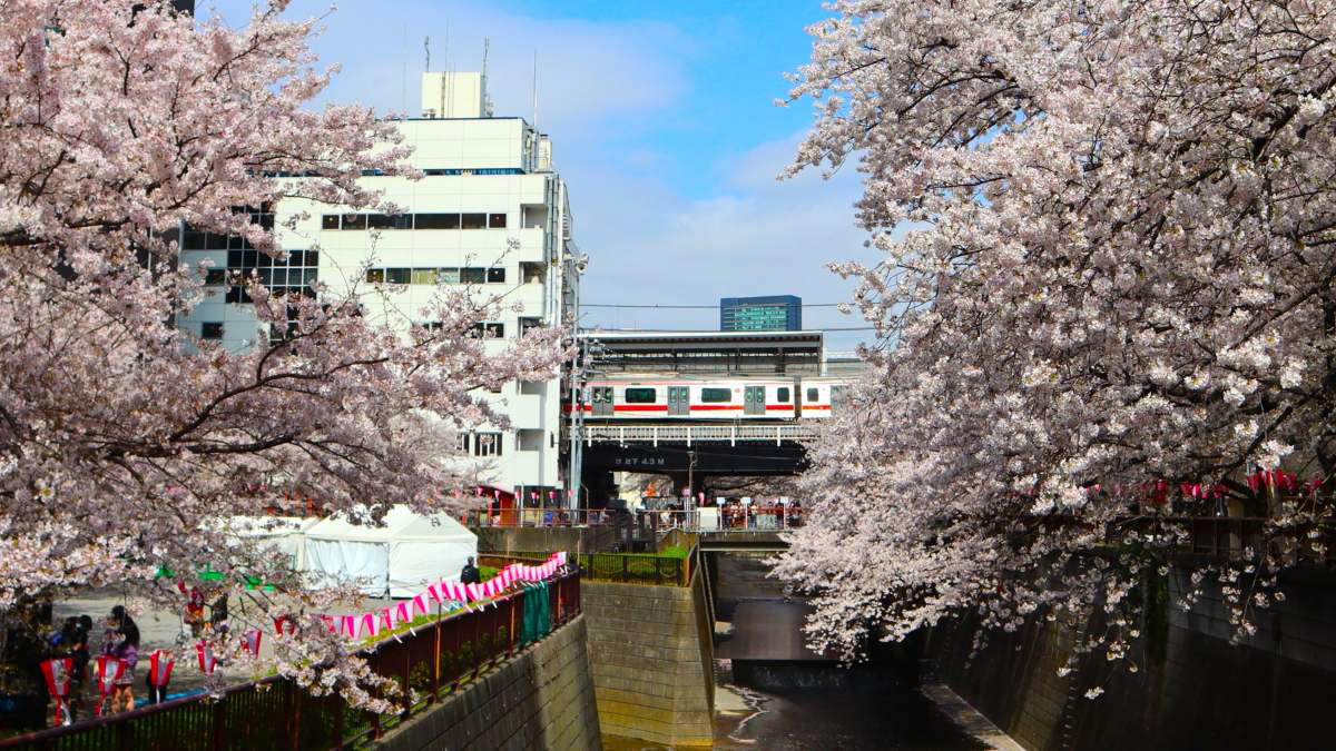 新線の東急新横浜線はどれくらいの人が利用している？, 東京・渋谷～日本最大の都市・横浜を結ぶ東急東横線, 東横線の主要駅の日吉から目黒を結ぶ目黒線の状況は？, 東急が開発した横浜丘陵の町々を結ぶ東急田園都市線, 大井町と溝の口・二子玉とを南北に結ぶ大井町線, ローカル路線感が漂う池上線, 東京南部の南北移動を担う路線、多摩川線, いよいよ東急電鉄全体での乗降人員ベスト15とワースト5、1位は・・・